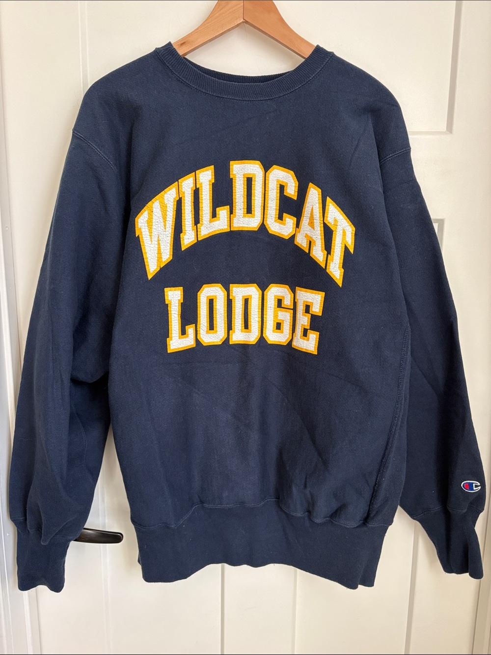 Vintage 90s Champion Reverse Weave Wildcat Lodge Crewneck Sweatshirt